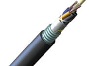 The armored Ombeya possesses several protective characteristics that contribute to its durability and reliability